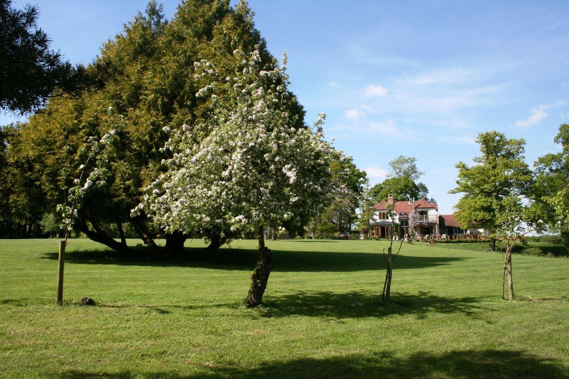 Shoyswell Cottage Hurst Green  Eksteriør bilde